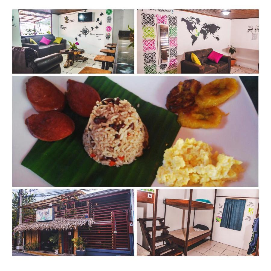Passifloras Hostel Quepos Bagian luar foto